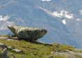 /album/la-suisse/a179-jpg/