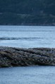 /album/canada-20081/a132-jpg1/