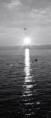 /album/le-lac-leman1/imm017-18a-jpg/