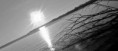 /album/le-lac-leman1/sol1-jpg1/