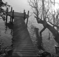 /album/le-lac-leman1/sol4-jpg/