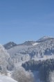/album/la-suisse1/pict0004-jpg/