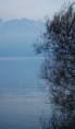 /album/ch%c3%a2teau-de-chillon/a17-01-00-jpg/