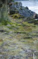 /album/ch%c3%a2teau-de-chillon/a17-01-05-jpg/