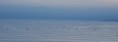 /album/ch%c3%a2teau-de-chillon/a17-01-11-jpg/