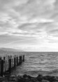 /album/le-lac-2/a256-jpg/