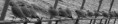 /album/le-lac-2/a306-jpg/