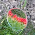/album/miroirs/a01-jpg1/