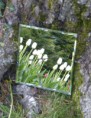 /album/miroirs/a02-jpg/