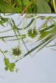 /album/miroirs/a02-1-jpg/