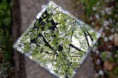 /album/miroirs/a03-1-jpg/