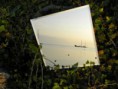 /album/miroirs/a08-jpg2/