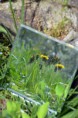 /album/miroirs/modifie03-jpg/