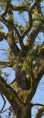 /album/les-grangettes-villeneuve/dsc-2501-1-jpg/
